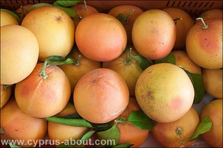 Fructele Ciprului în ianuarie