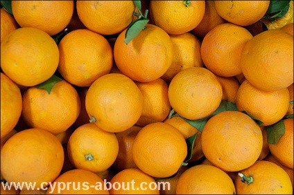 Fructele Ciprului în ianuarie