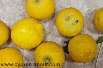 Gyümölcs Ciprus januárban