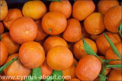 Gyümölcs Ciprus januárban