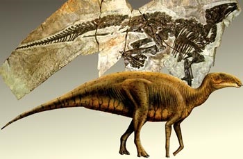 Gadrosaurul este un dinozaur erbivor