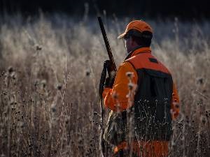 Garmin Dakota 20 ár, funkciók, videó felülvizsgálat útmutató, vélemények