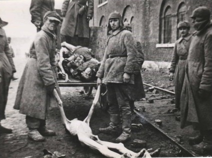 Genocidul cu binecuvântare ca Ustashi a distrus sârbii în cel de-al doilea război mondial - Știri politice