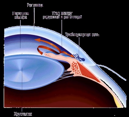 Simptomele glaucomului, stadiul bolii, tratamentul