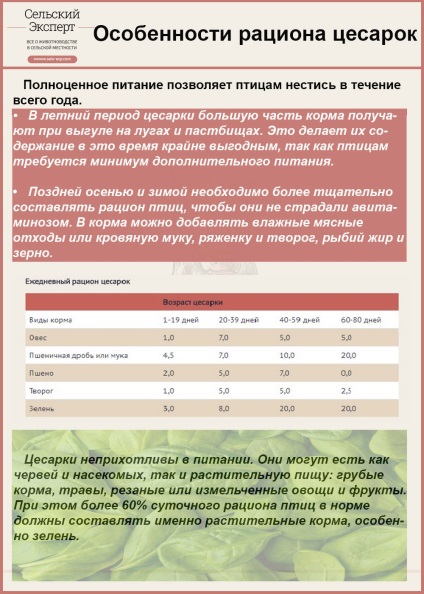 Incubarea bovinelor - regim de incubație, cerințe pentru ouă