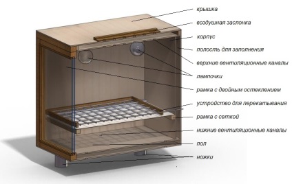 Incubarea bovinelor - regim de incubație, cerințe pentru ouă