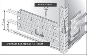 Instrucțiuni de instalare pentru siding soclu cu tehnologie de mâini proprii, preț (video)