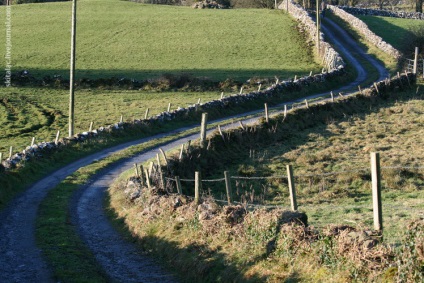 Irlanda (puțin despre bere, vaci și acolo unde nu este necesar să mergem pentru noul an)