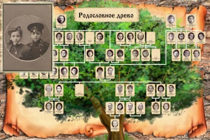 Istoria arborelui genealogic sau arborelui vieții va trece înaintea ochilor voștri