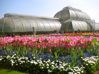 Hogyan lehet eljutni a Kew Gardens leírás és képek