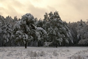 Cum să fotografiați în timpul iernii (zăpadă, îngheț, ceață), fotograf amator - doar articole din fotografie!