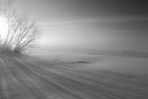Cum să fotografiați în timpul iernii (zăpadă, îngheț, ceață), fotograf amator - doar articole din fotografie!