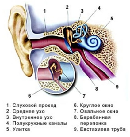 Hogyan enyhíti a fül fájdalom (Guide)