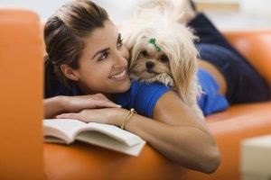 Cum să comunici corect cu un câine