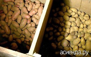 Cum să depozitați cartofii în mod corespunzător