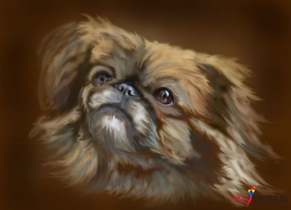 Cum să desenezi un portret al unui câine mic
