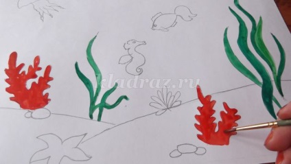 Hogyan rajzoljunk algák