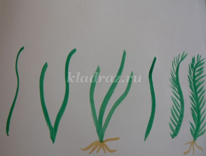 Hogyan rajzoljunk algák
