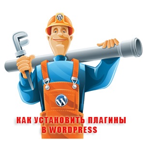 Cum se instalează pluginul wordpress