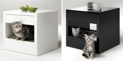 Ce mobilier fac bordurile pisicilor?