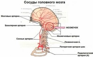 Cum alcoolul afectează beneficiile vasculare și vătămarea