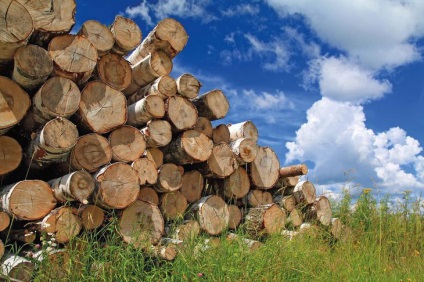Cum sa cumparati lemne de foc pentru nevoile dumneavoastra - stiri - ziarul 