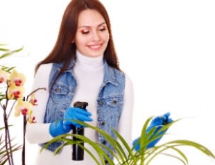 Cum de a proteja plantele de casa de dăunători