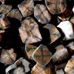Stone hiastolite - proprietati magice ale mineralelor, valorii, produselor si preturilor