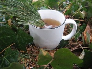 Vesekő, mert a vitamin (vese) Vesekő miatti vitamin