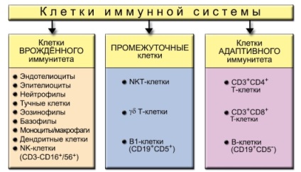 Celulele sistemului imunitar