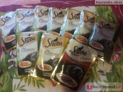 Conserve alimentare pentru pisici sheba - 