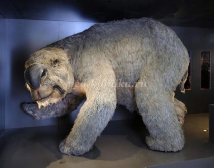 Az elvont egy történelem lecke 5. évfolyam „kőkorszaki megafauna” (oroszlán) Az elvont egy történelem lecke 5. évfolyam „kőkorszaki megafauna”