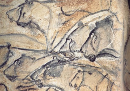 Az elvont egy történelem lecke 5. évfolyam „kőkorszaki megafauna”