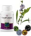 Coral Probiotic 1