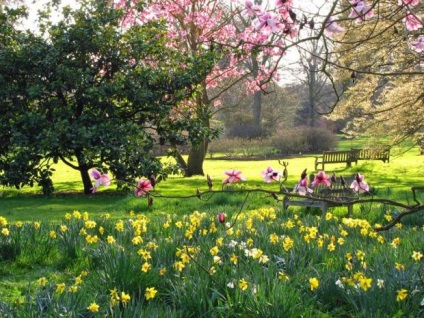 Royal Botanic Gardens kew grădini excursie la Londra - sfaturi turistice