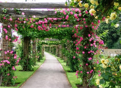 Royal Botanic Gardens, Kew Gardens, hello, london