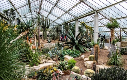 Royal Botanic Gardens, Kew Gardens, hello, london