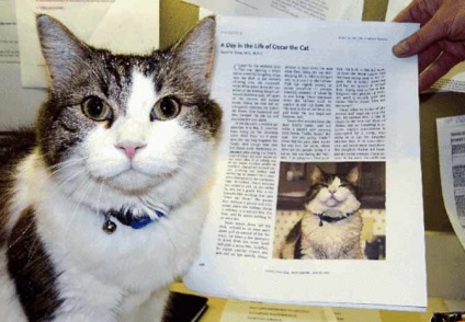 O pisica numita Oscar poate simti moartea apropiata a unui barbat mai bine decat medicii