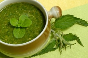 Nettle - beneficiu și rău pentru păr, proprietăți medicinale și contraindicații la decoctarea urzică, precum și