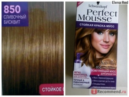 Culoarea parului schwarzkopf perfect mousse - «ideal pentru mine vopsea schwarzkopf mousse perfect