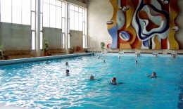 Tratamentul în suburbiile din Moscova a diversificat sanatoriu yerino