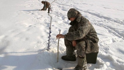 Prăjirea în snopi de iarnă, momeală, momeală