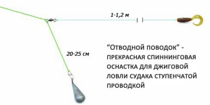 Prinderea coțoforului de pescăruș pe spinning în primăvara, vara și toamna abordarea - filare, rigging și tehnica de pescuit