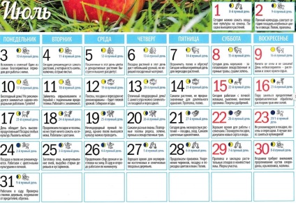 Calendarul lunar al fermierilor pentru iulie 2017