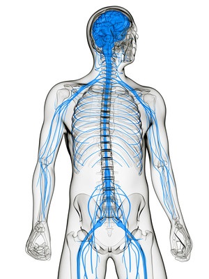 Unguentele cu inflamație a nervului ischial, trigeminal - femeie