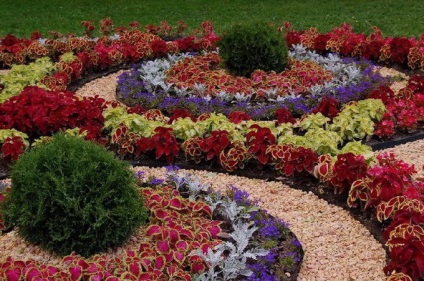 A kedvenc nyári rezidenciája gyönyörű virágos kertek, fotó, mesterkurzus