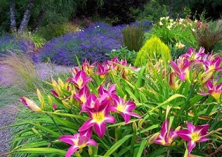 A kedvenc nyári rezidenciája gyönyörű virágos kertek, fotó, mesterkurzus