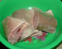 Whitefish - Szibéria halak (maréna) Whitefish - hal Szibériában