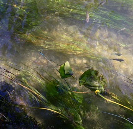 Autóval Horvátország - Krka Nemzeti Park - Sibenik, a Photo-utazások