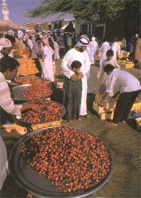 Vama și tradițiile din OAE, Emiratele Arabe Unite